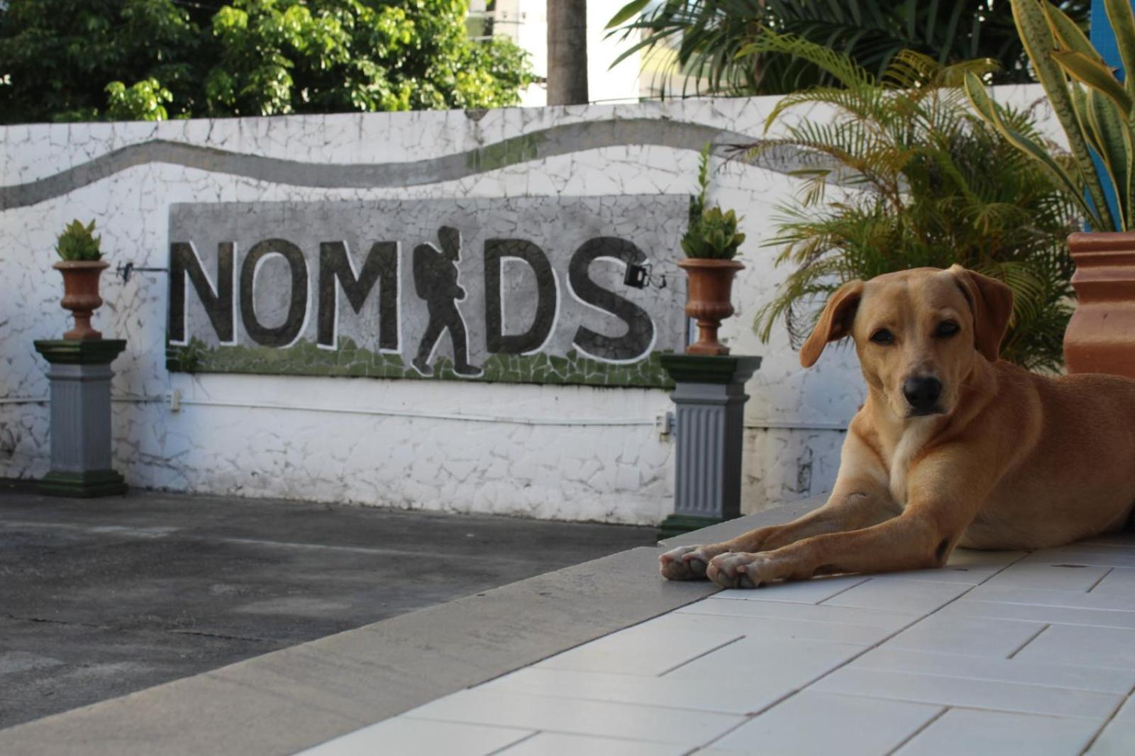 Nomads Hostel Multicultural & Coworking Salvador Ngoại thất bức ảnh