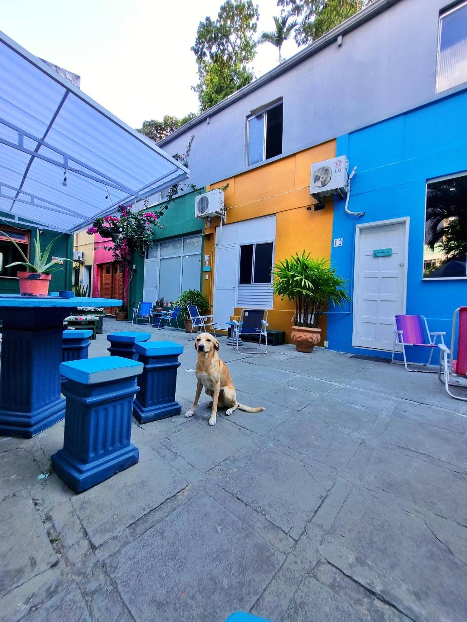 Nomads Hostel Multicultural & Coworking Salvador Ngoại thất bức ảnh